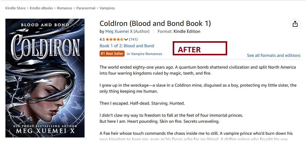 ColdIron, Blood and Bond Book 1 after